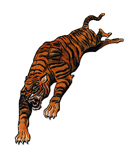 CATTIGER.gif