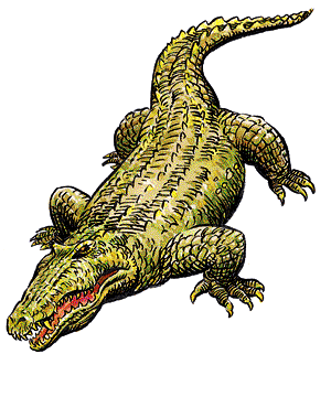 CROCODIL.gif