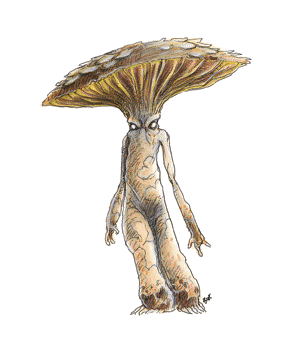 MYCONID.gif