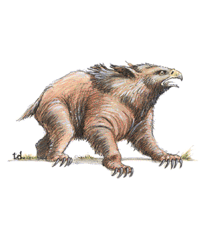 OWLBEAR.gif