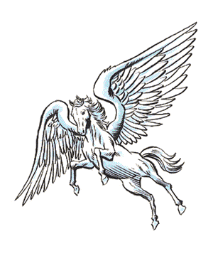 PEGASUS.gif