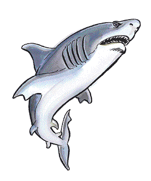 SHARK.gif