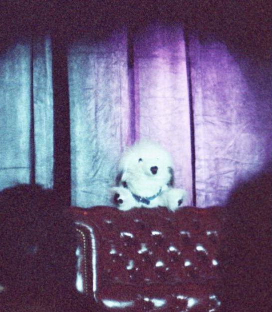 [AC2002_020.jpg thumbnail]