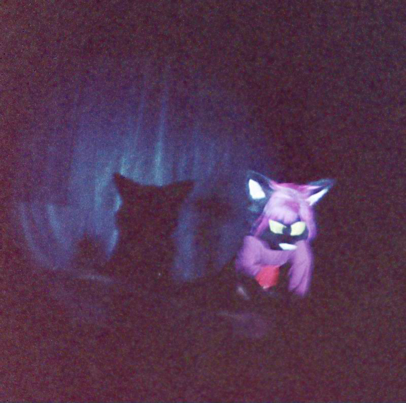 [AC2002_040.jpg thumbnail]