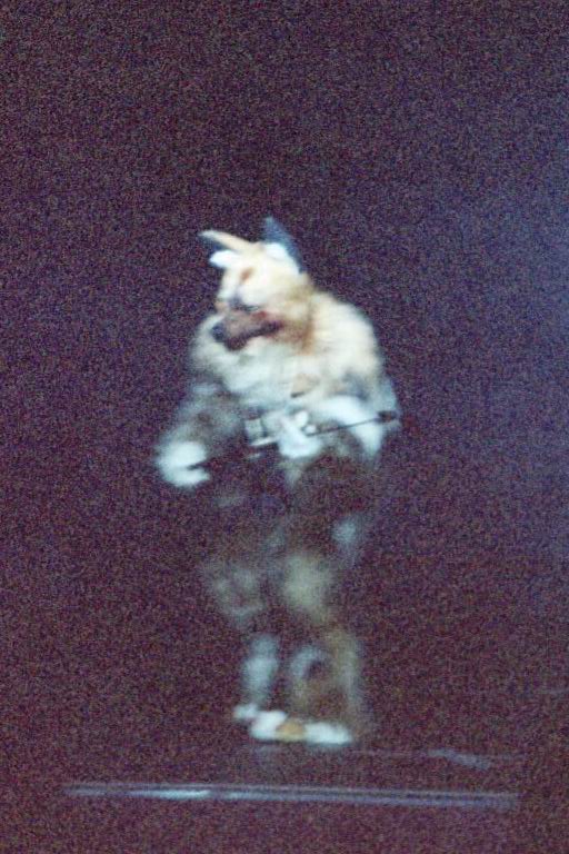 [AC2002_055.jpg thumbnail]