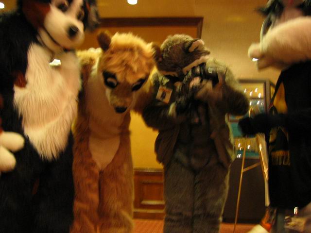 [ac2003_076.jpg thumbnail]