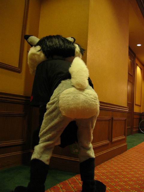 [ac2003_079.jpg thumbnail]