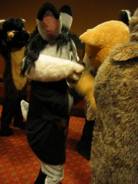 [ac2003_084.jpg thumbnail]