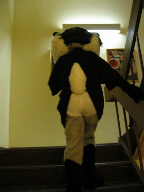 [ac2003_085.jpg thumbnail]