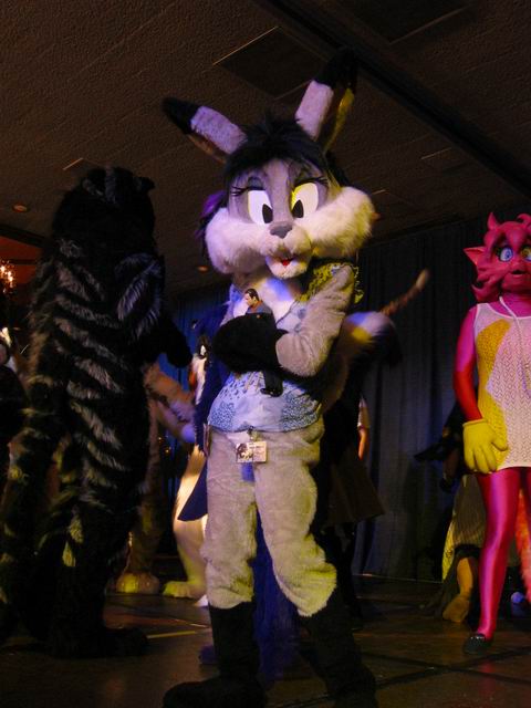 [ac2003_191.jpg thumbnail]