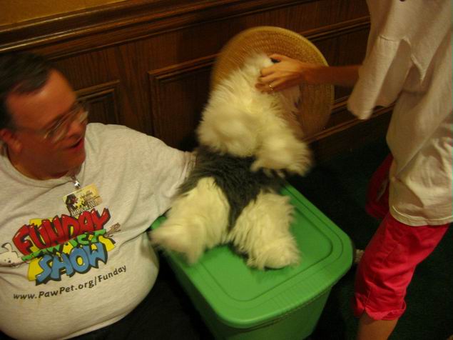 [ac2003_040.jpg thumbnail]