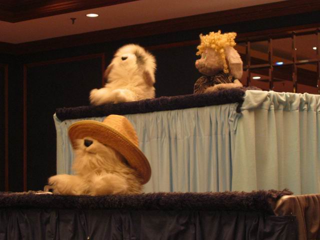 [ac2003_086.jpg thumbnail]