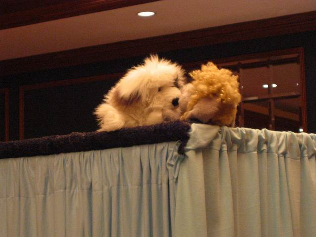 [ac2003_090.jpg thumbnail]