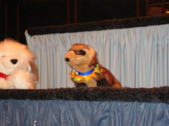 [ac2003_100.jpg thumbnail]