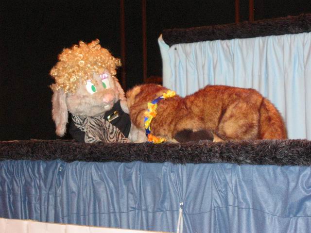 [ac2003_104.jpg thumbnail]