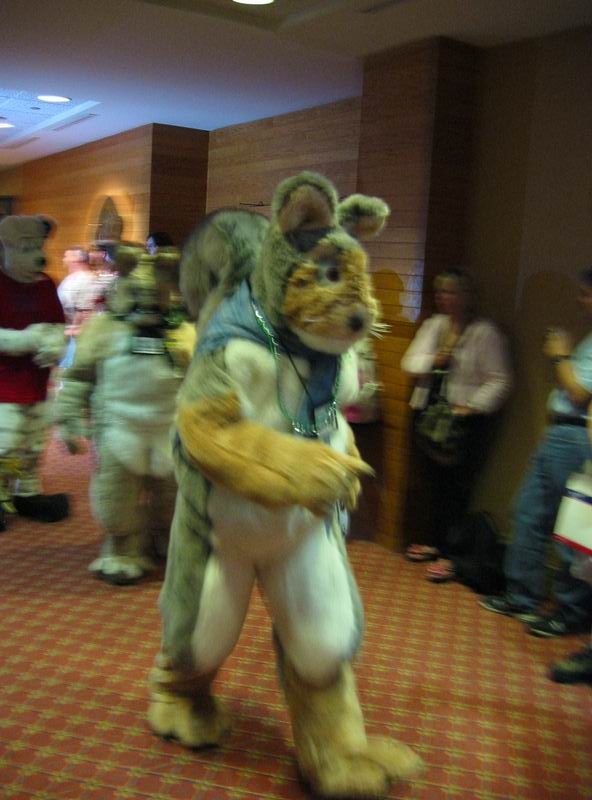 [AC2004_139.jpg thumbnail]