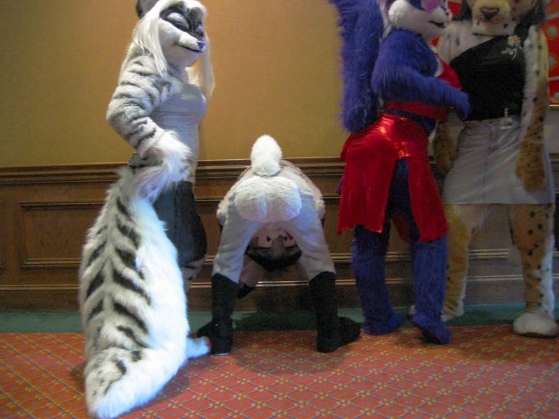 [AC2004_156.jpg thumbnail]