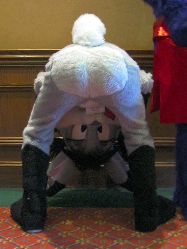 [AC2004_158.jpg thumbnail]