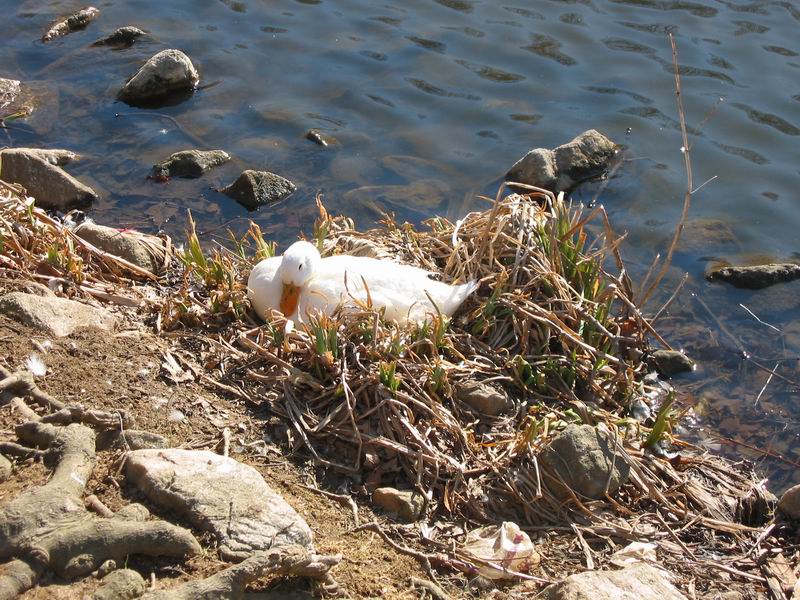 [BabsDad20040228_01.jpg thumbnail]