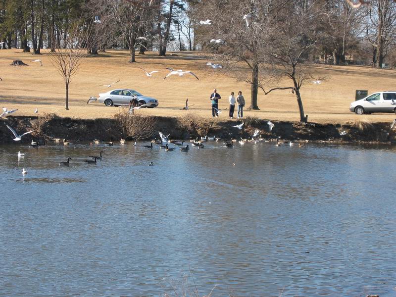 [BabsDad20040228_03.jpg thumbnail]