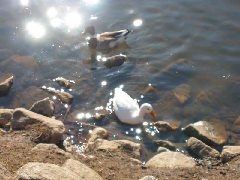 [BabsDad20040228_06.jpg thumbnail]