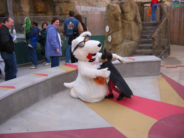 [BooZoo2003_18.jpg thumbnail]