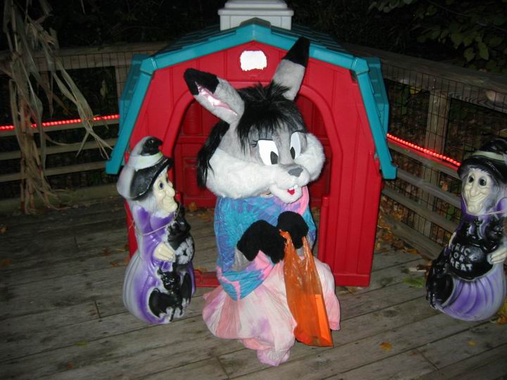 [BooZoo2003_33.jpg thumbnail]