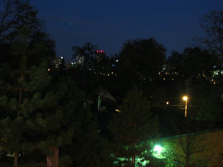 [BooZoo2003_37.jpg thumbnail]