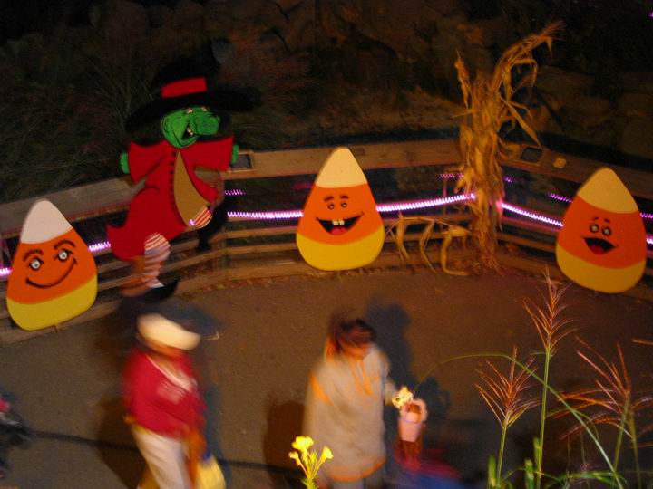 [BooZoo2003_38.jpg thumbnail]