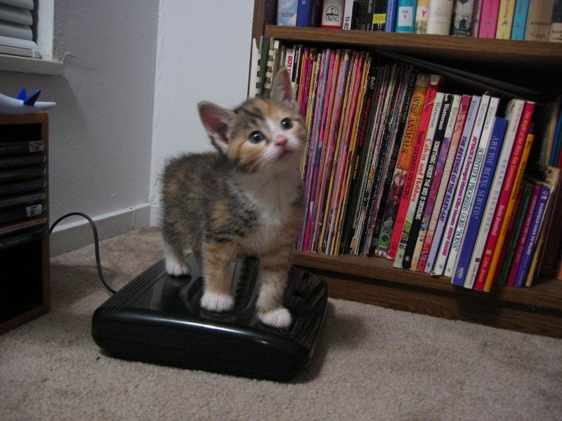 [Deanna02.jpg thumbnail]