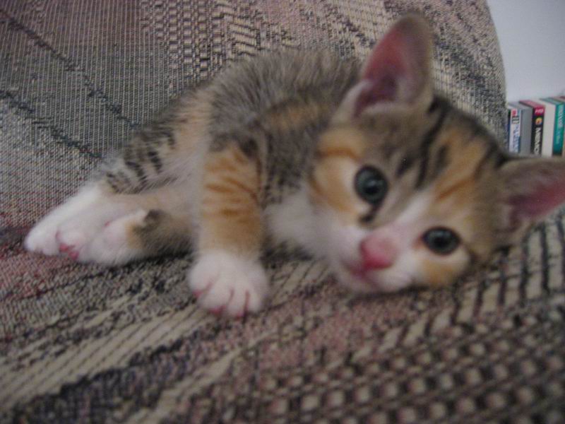 [Deanna07.jpg thumbnail]