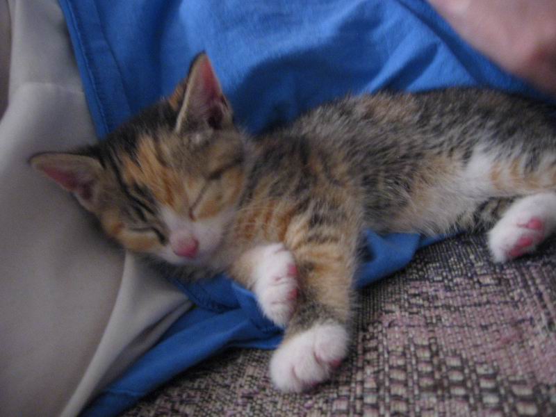 [Deanna09.jpg thumbnail]