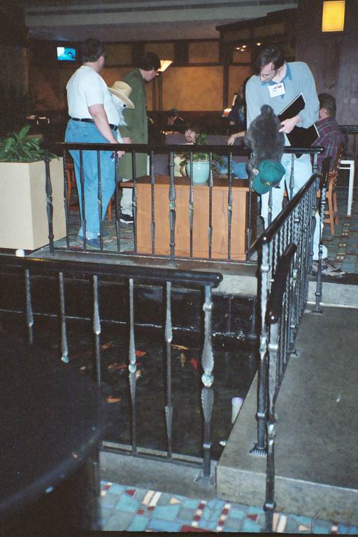 [MFF2002_01.jpg thumbnail]