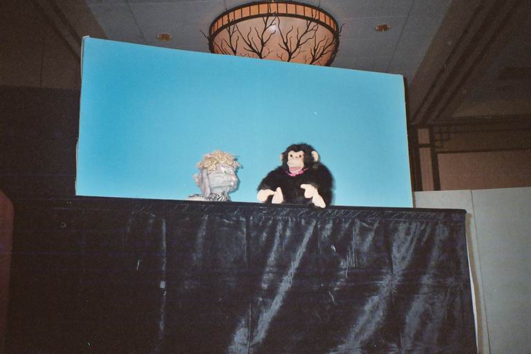 [MFF2002_14.jpg thumbnail]