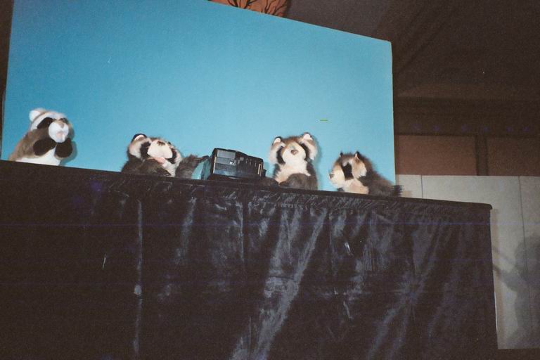 [MFF2002_17.jpg thumbnail]