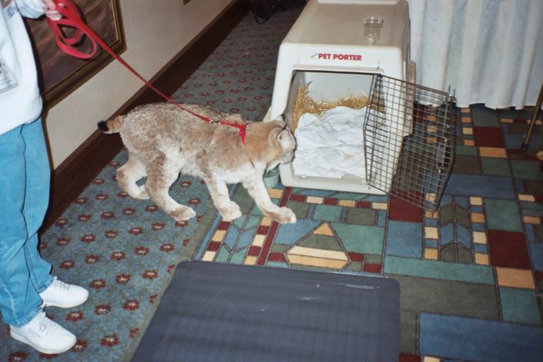 [MFF2002_36.jpg thumbnail]