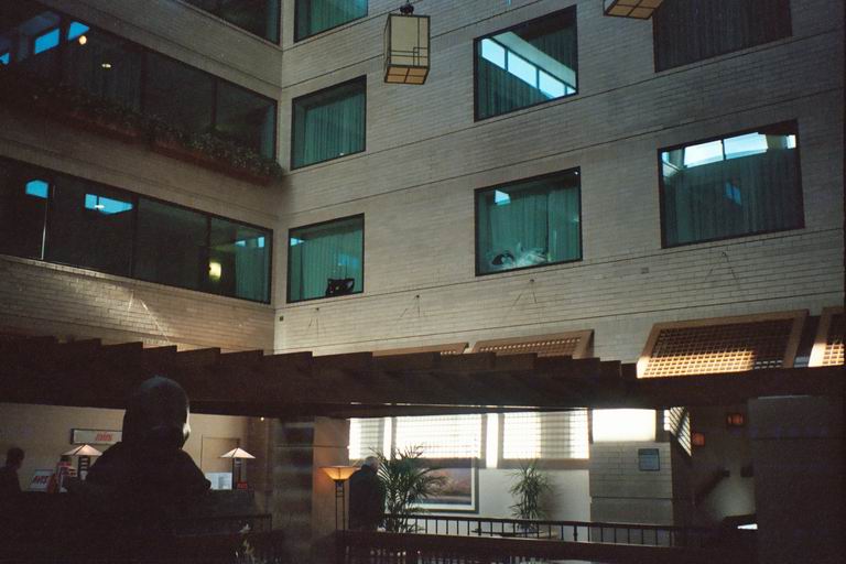 [MFF2002_45.jpg thumbnail]