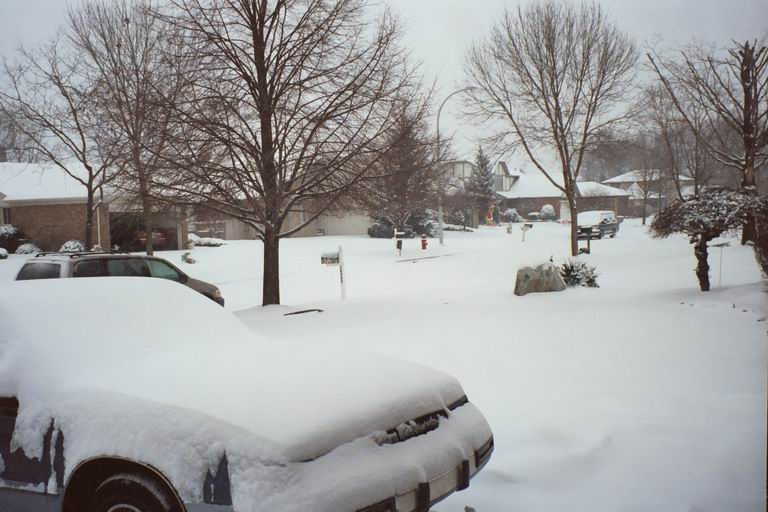 [MFF2002_46.jpg thumbnail]