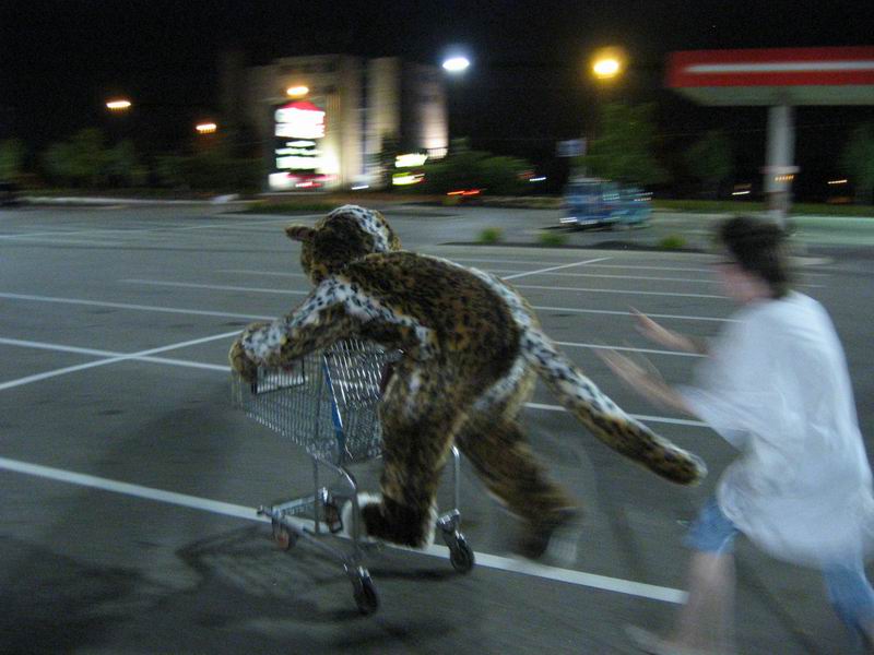 [Morphicon2004_17.jpg thumbnail]