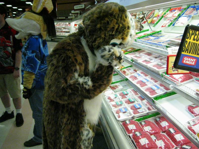 [Morphicon2004_20.jpg thumbnail]