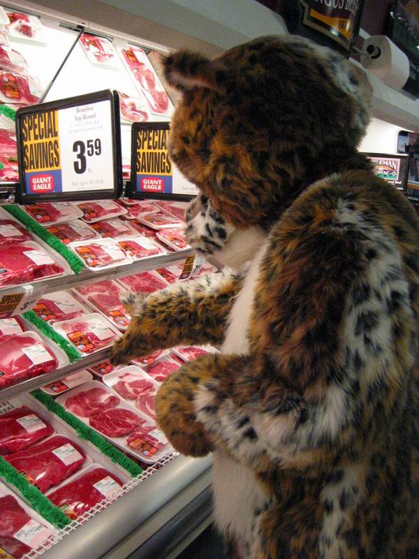 [Morphicon2004_21.jpg thumbnail]