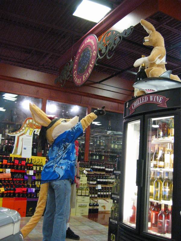 [Morphicon2004_22.jpg thumbnail]