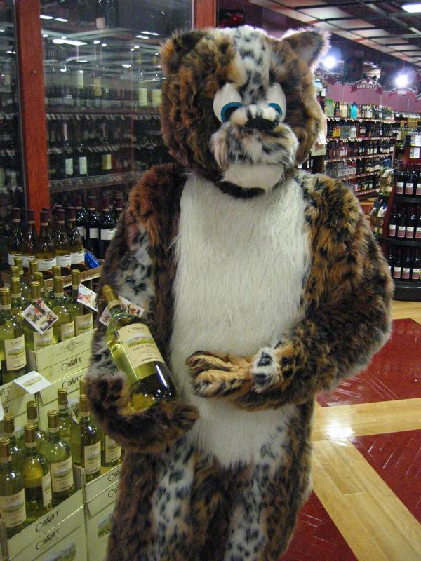 [Morphicon2004_26.jpg thumbnail]