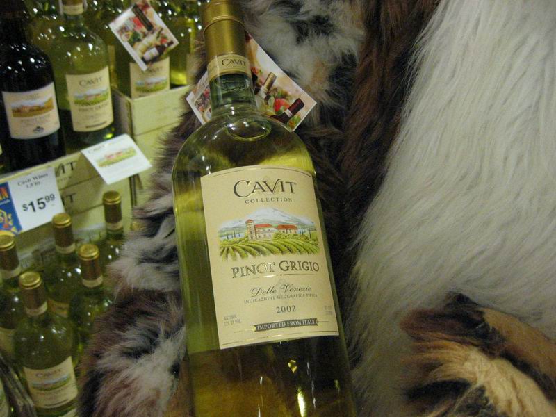 [Morphicon2004_27.jpg thumbnail]