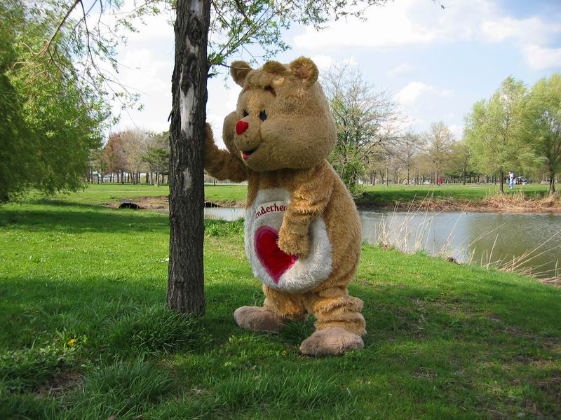 [NY2004_047.jpg thumbnail]