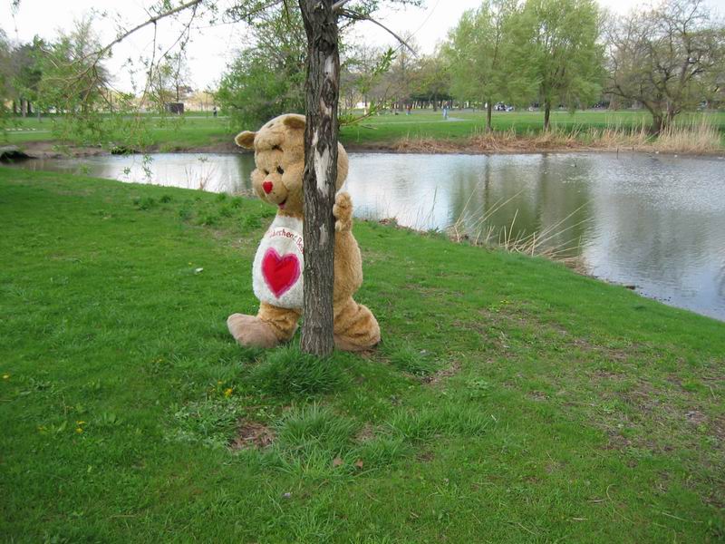 [NY2004_051.jpg thumbnail]