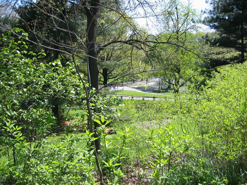 [NY2004_063.jpg thumbnail]