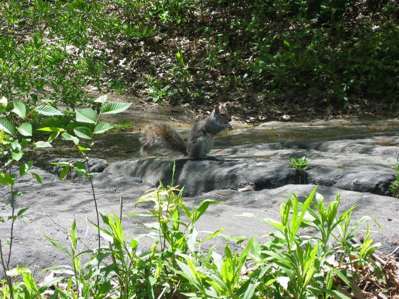 [NY2004_065.jpg thumbnail]