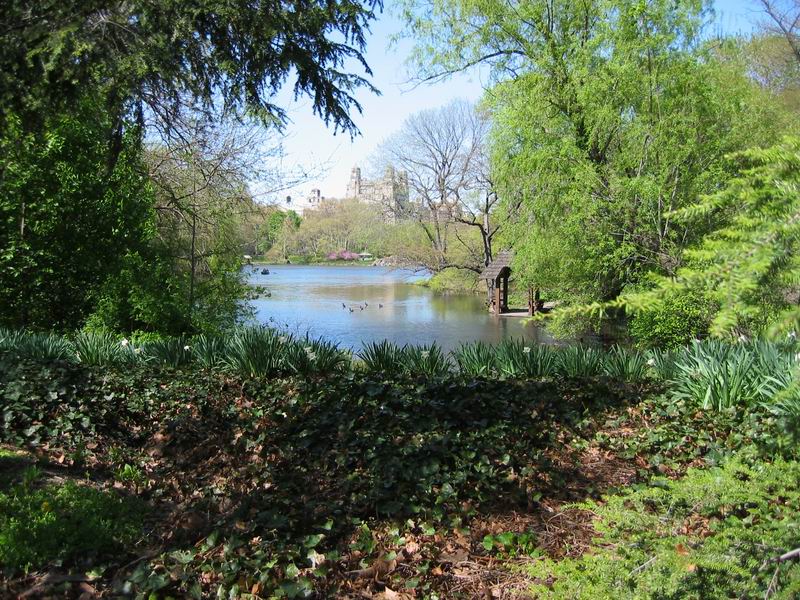 [NY2004_069.jpg thumbnail]