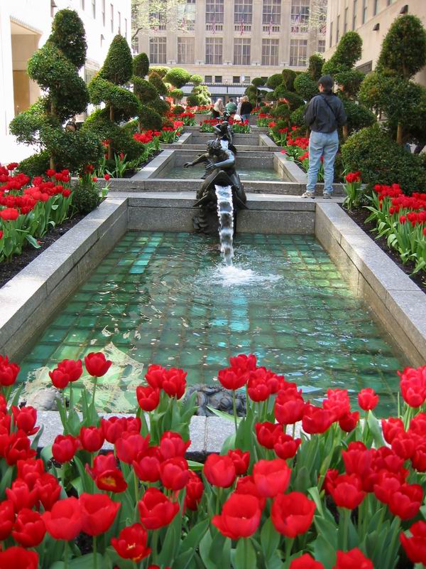 [NY2004_091.jpg thumbnail]